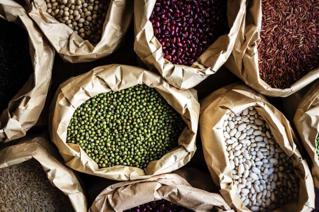 Plant Based Protein