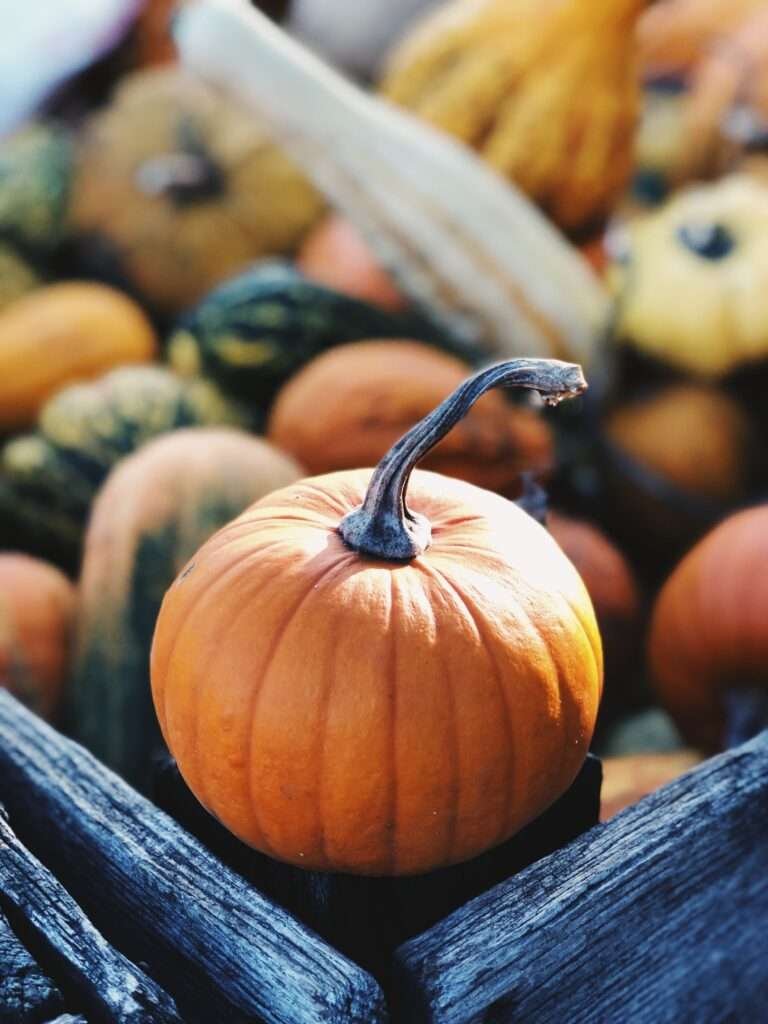 pumpkin seed oil