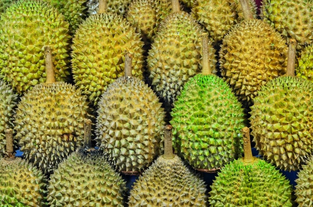 Durian Vs Jackfruit comparison