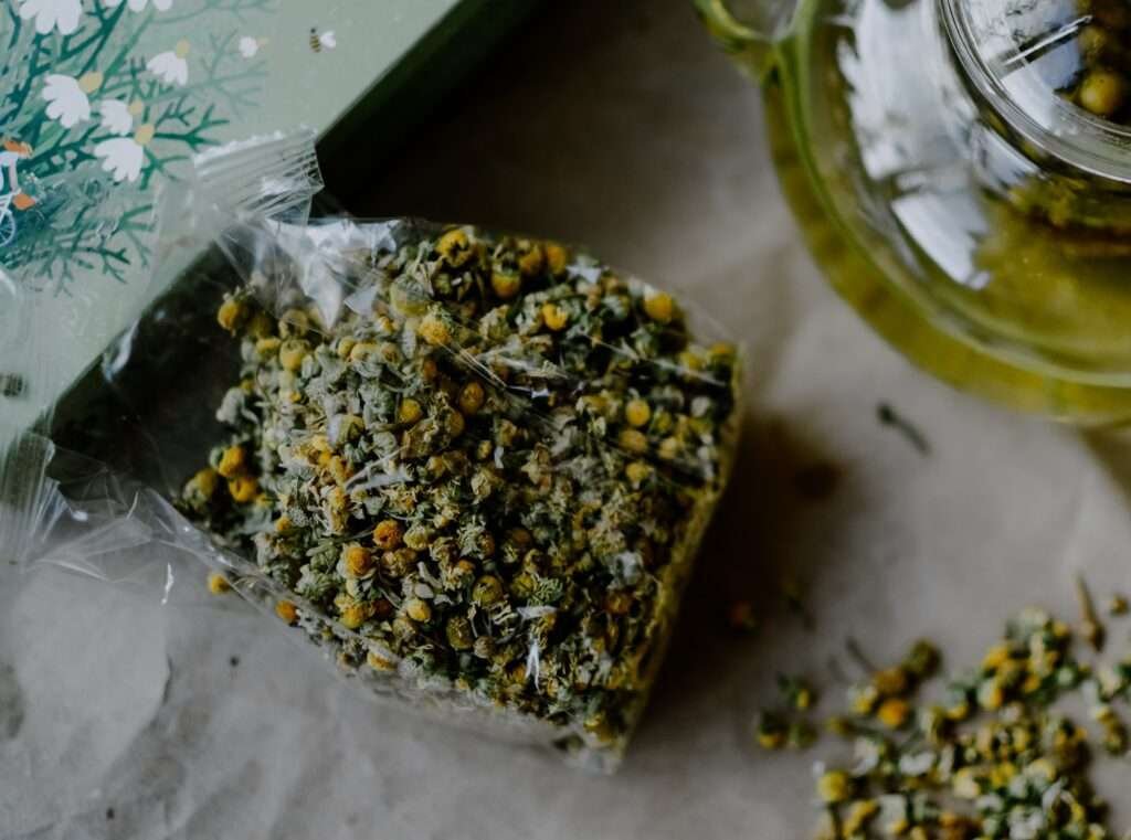 Wild Chamomile