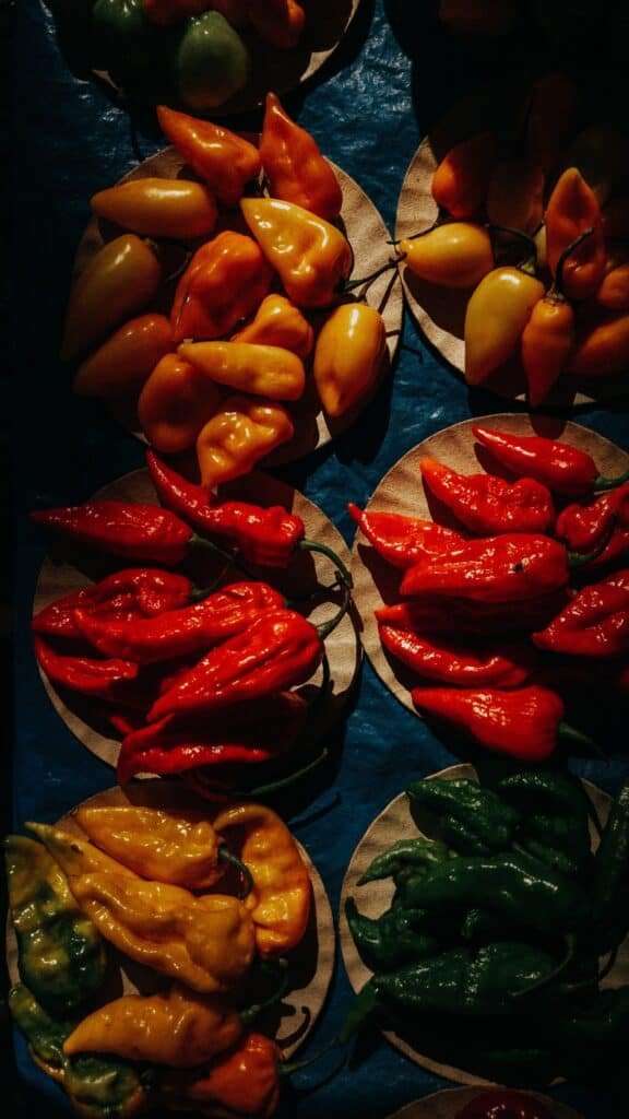 20 hottest peppers in the world