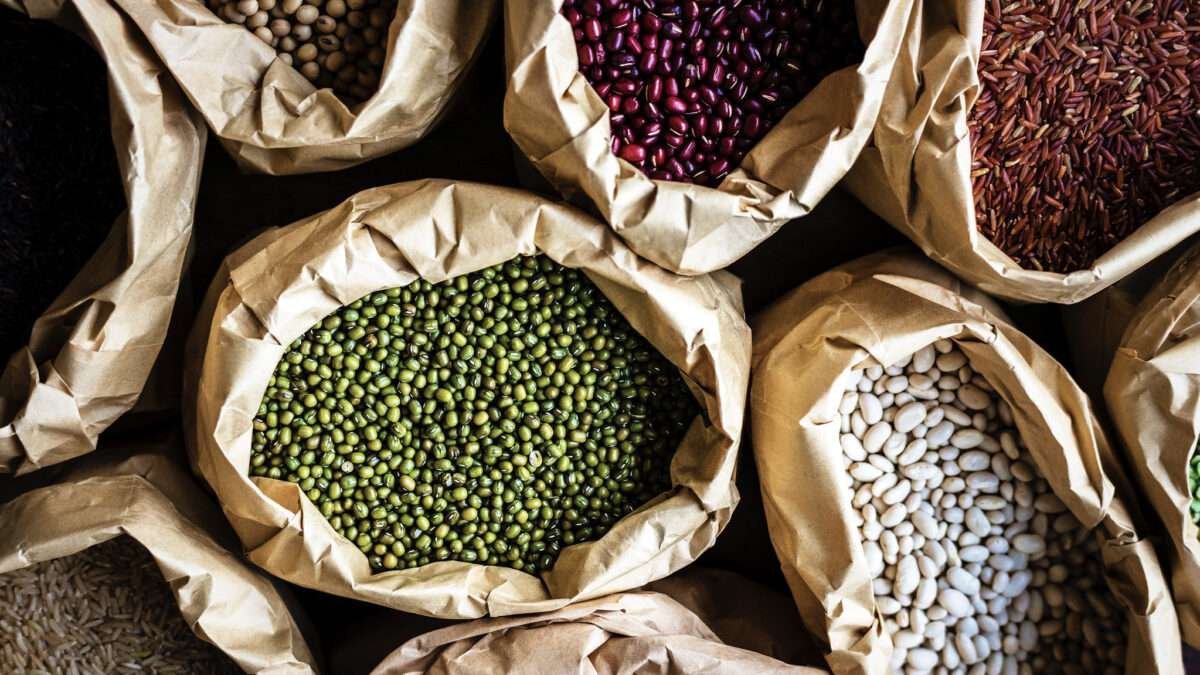 Plant Based Protein