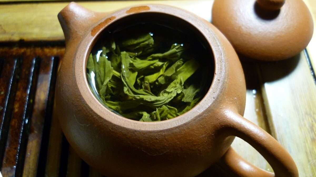 Understanding Sencha Green Tea