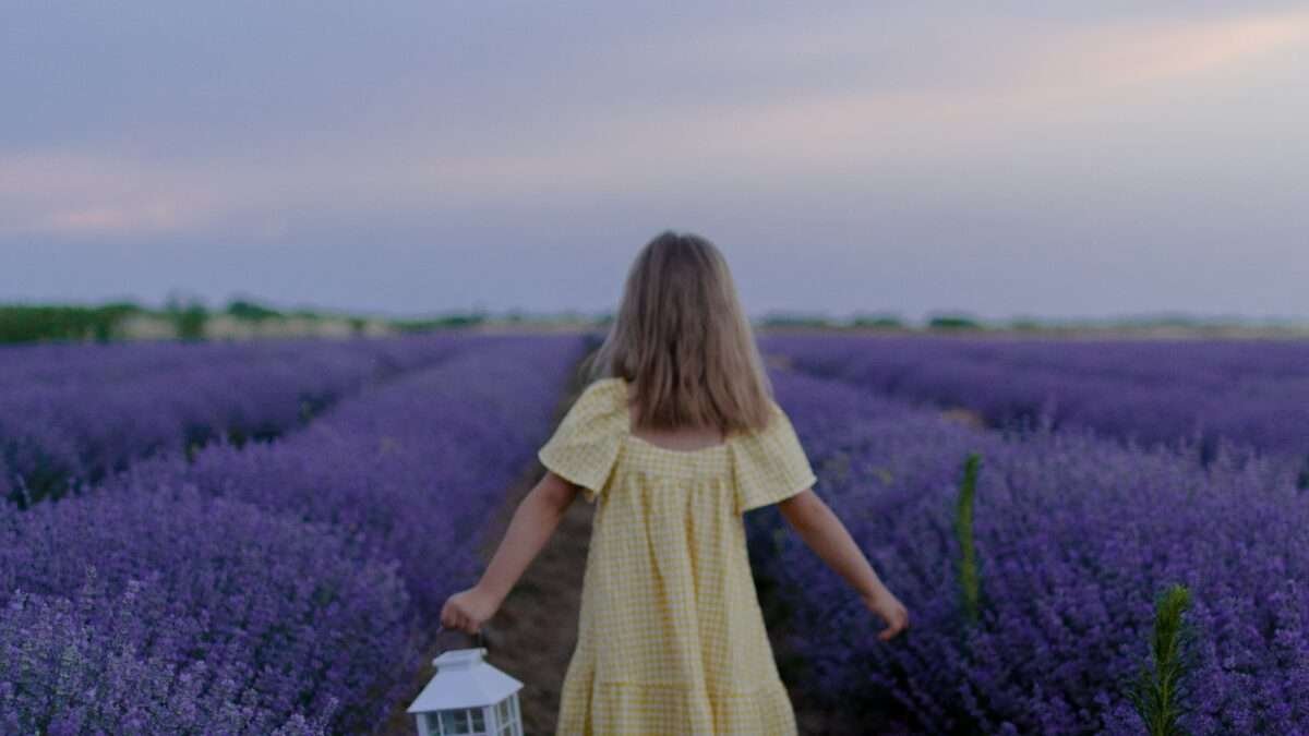 Lavender Tree