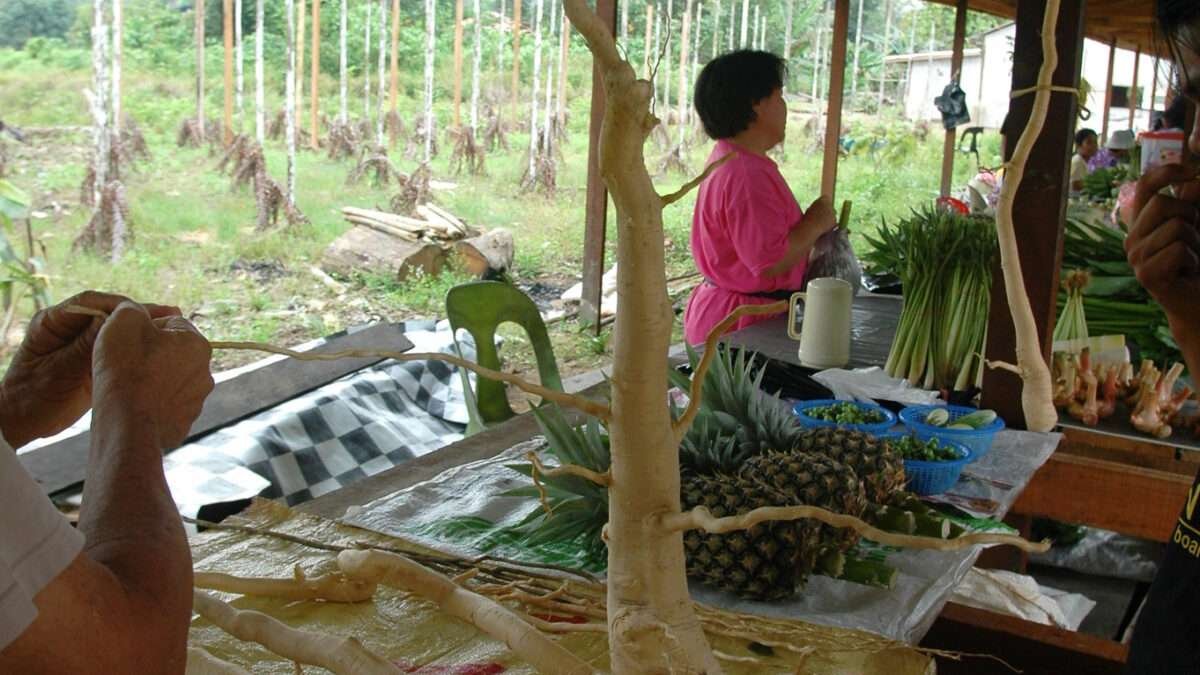 Health Benefits of Tongkat Ali Coffee