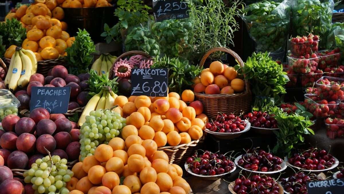What is an alkaline vegan diet?