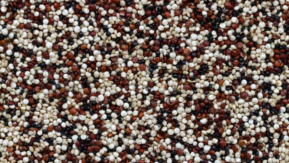 How to Make Quinoa Flour