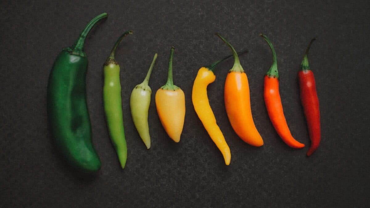 20 Hottest Peppers in the World