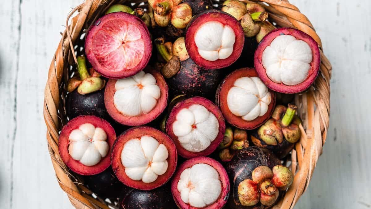 Mangosteen Skin Benefits