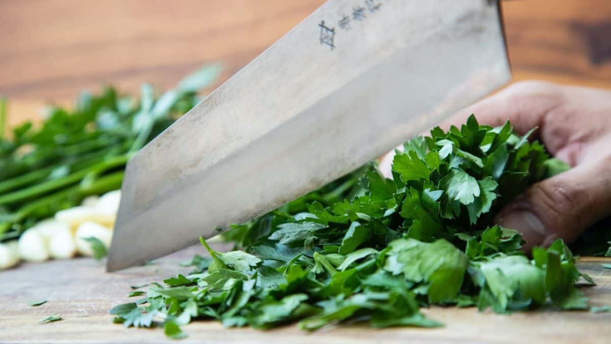 Parsley vs Coriander: Herbs in Cooking