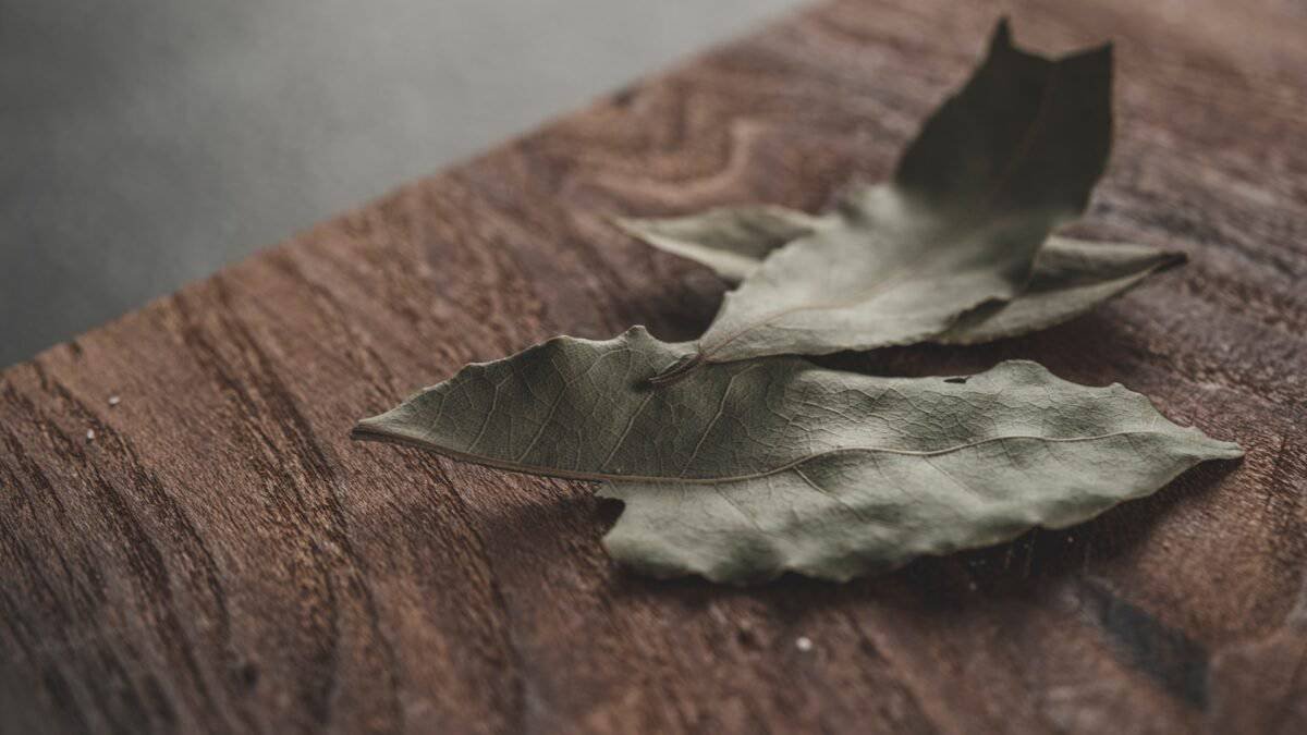 Secrets of Bay Leaves Benefits