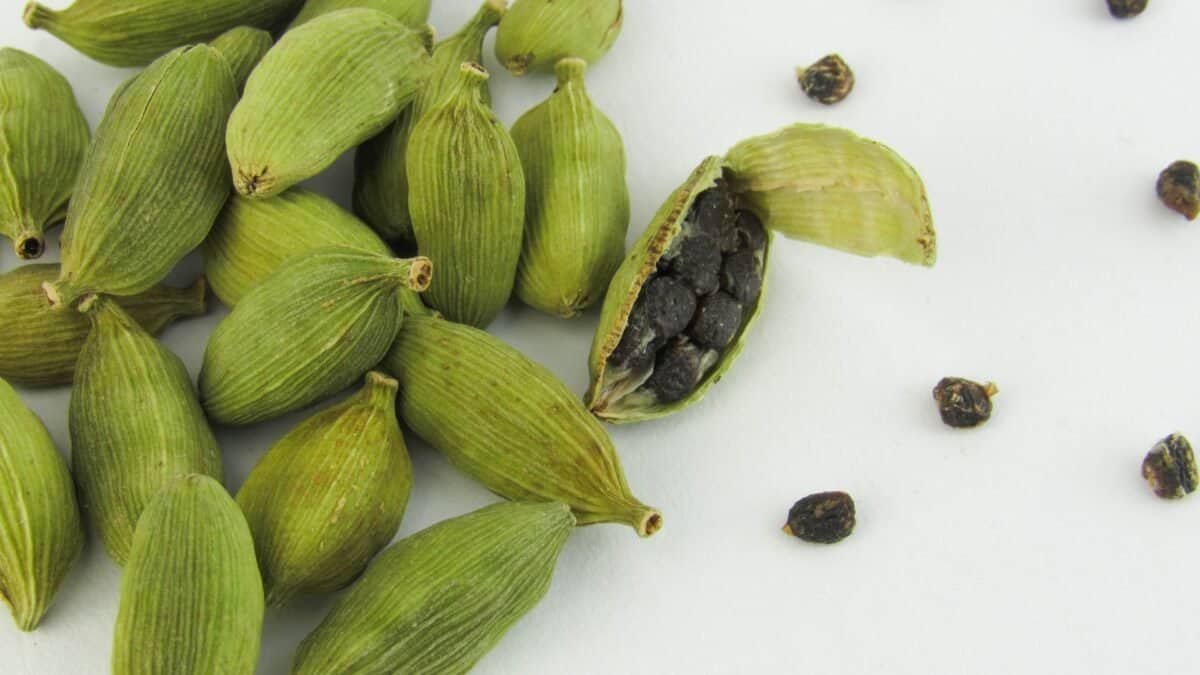 Discover the Amazing Cardamom Tea Benefits for Your Well-Being