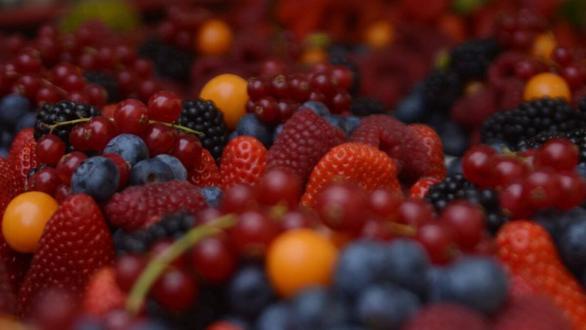 Low Glycemic Index Foods: A Guide to a Better Health